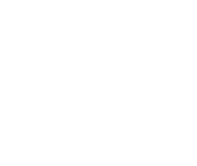 egfvdsa